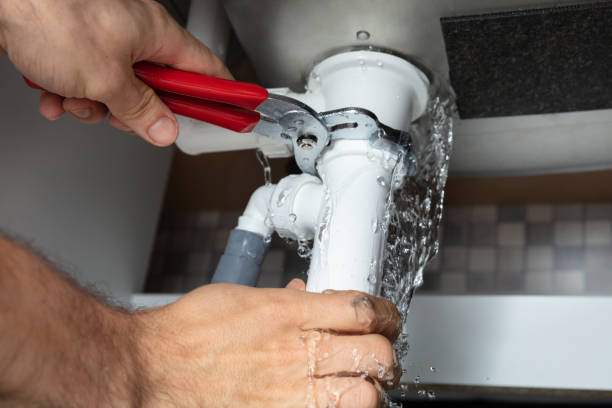 Best Water damage mitigation services  in Bowling Green, VA