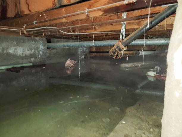 Best 24/7 water damage repair  in Bowling Green, VA
