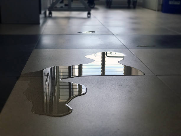 Best Local water damage restoration  in Bowling Green, VA